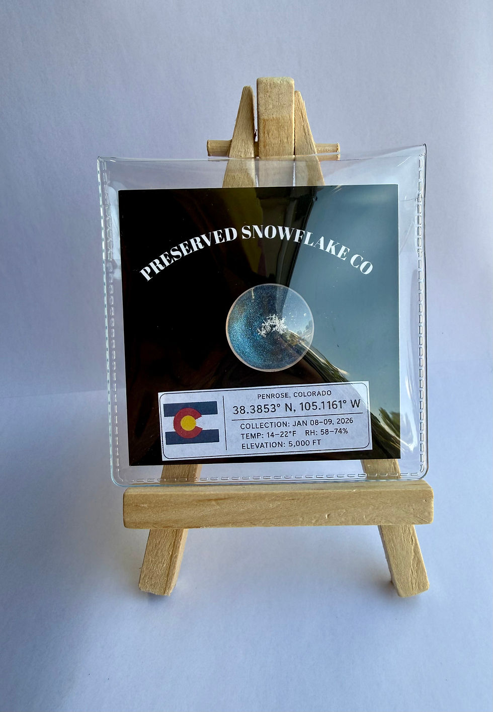 Miniaturbild: Art Display/20mm-Real Snowflake Preserved Resin/Glass