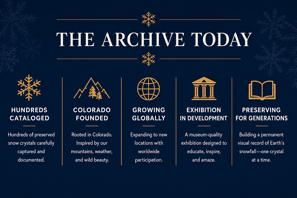 preservedsnowflakeglobalarchivemobile1.png