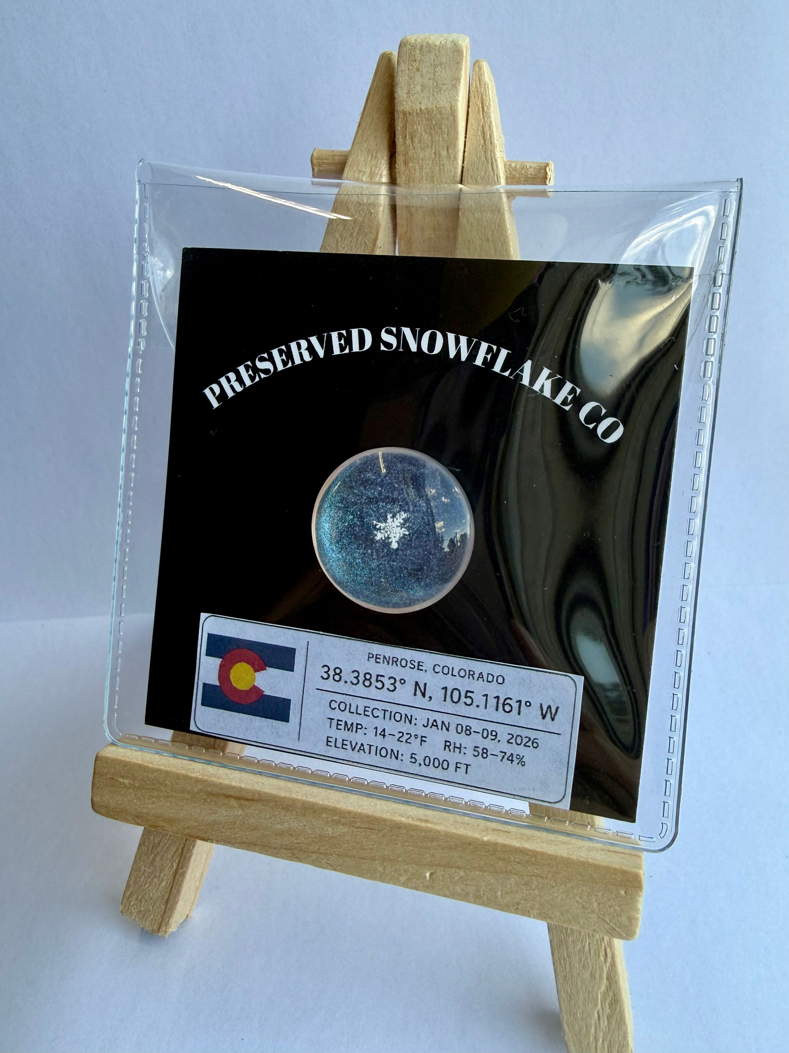 Art Display/20mm-Real Snowflake Preserved Resin/Glass