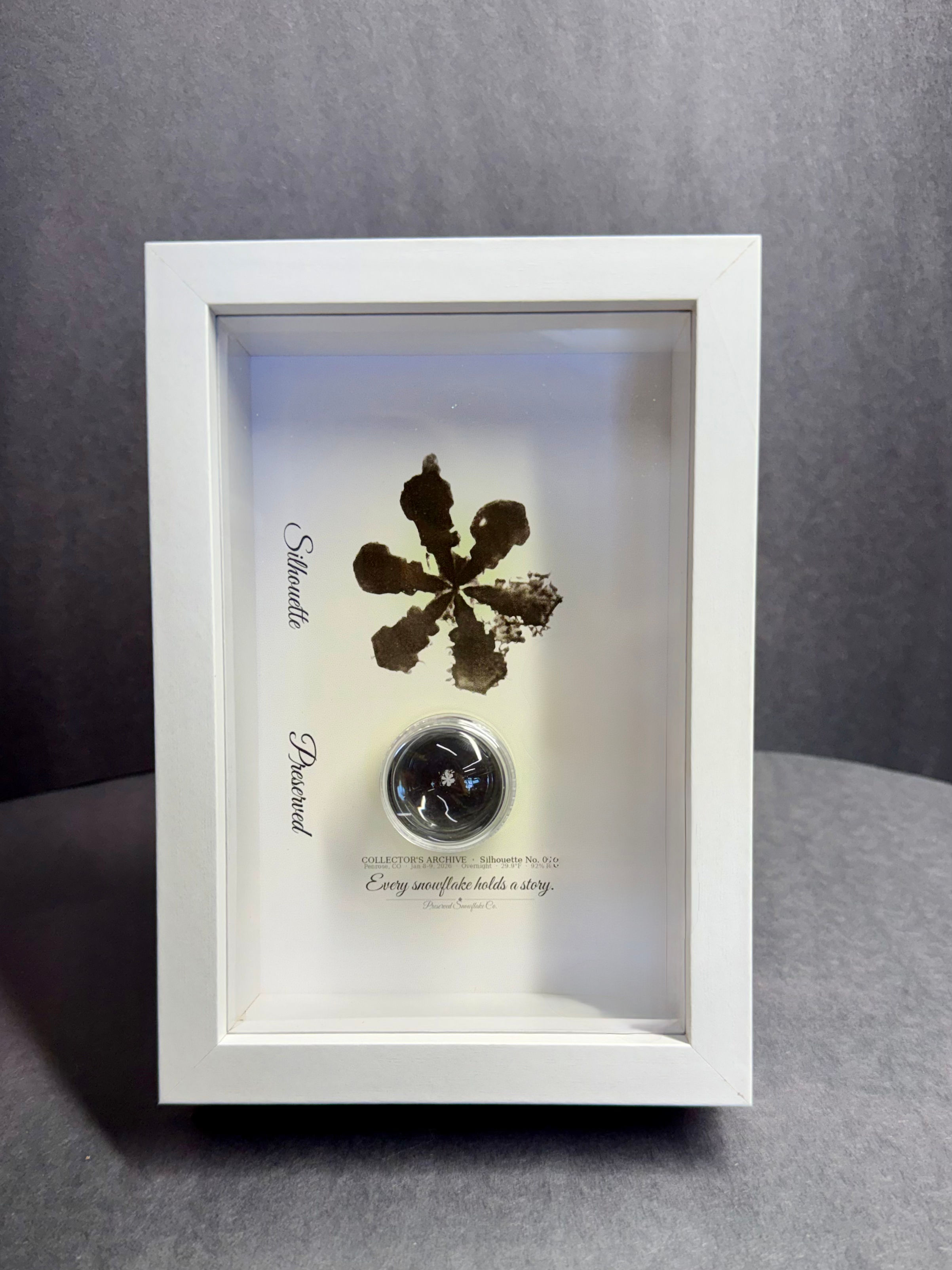 Display-4x6/Preserved Snowflake