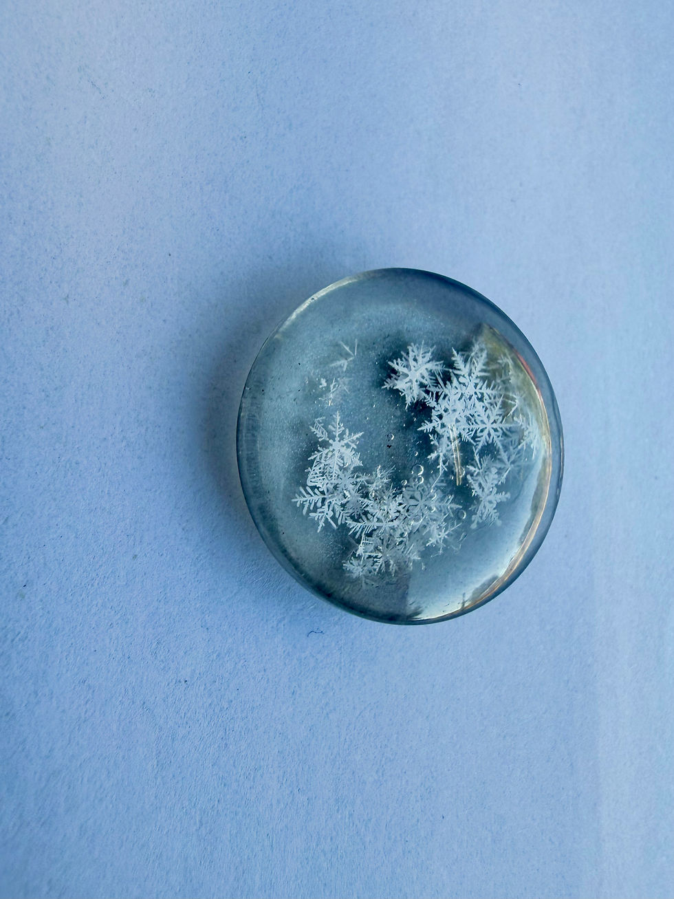 Thumbnail: Preserved Snowflake Storm Cluster Art, 20mm Real Snowflake Glass Display, Natura