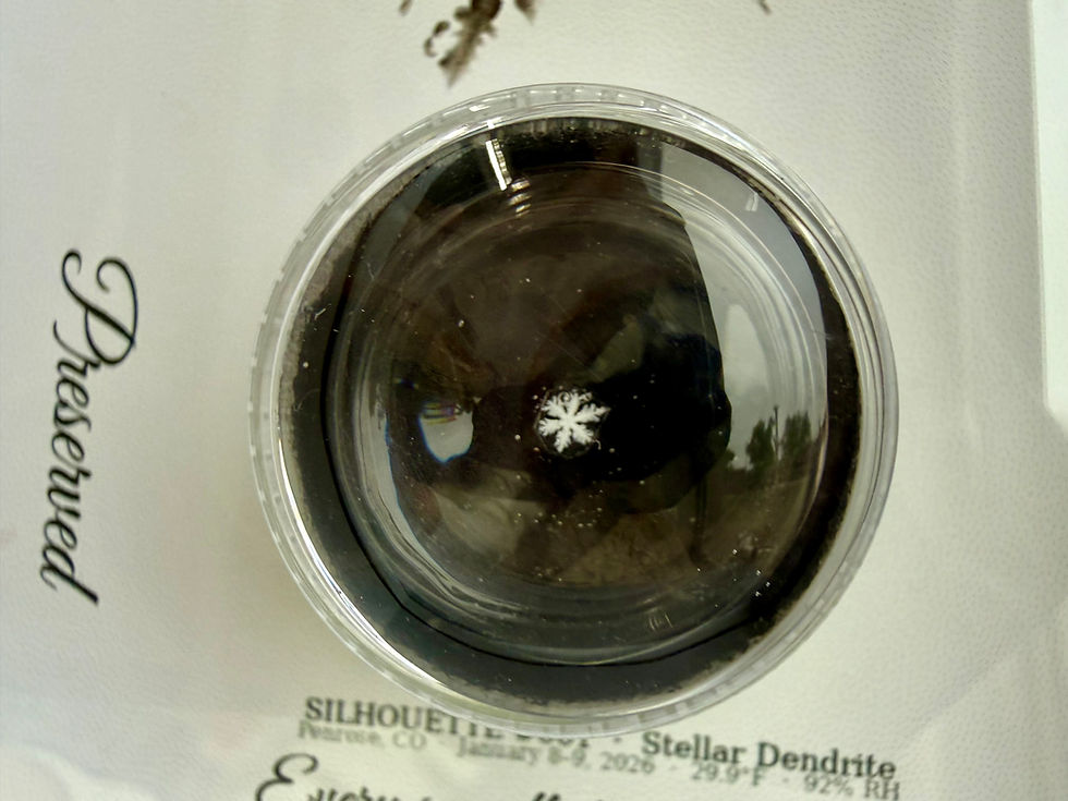 Miniaturbild: Display-4x6/Preserved Snowflake