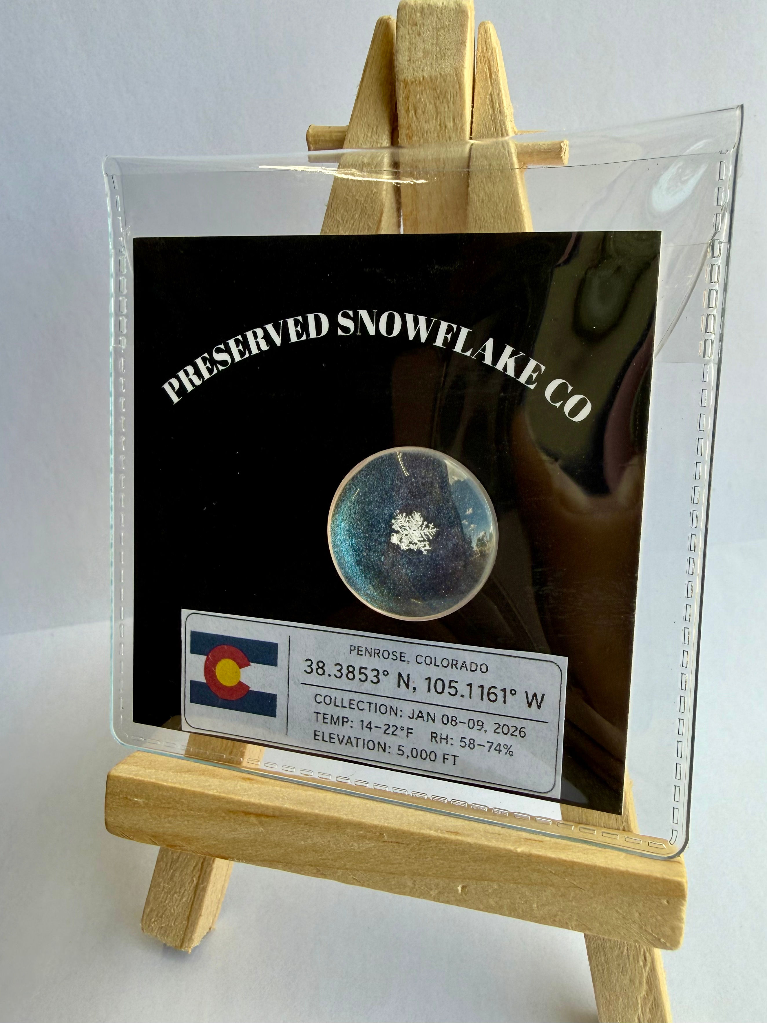 Art Display/20mm-Real Snowflake Preserved Resin/Glass