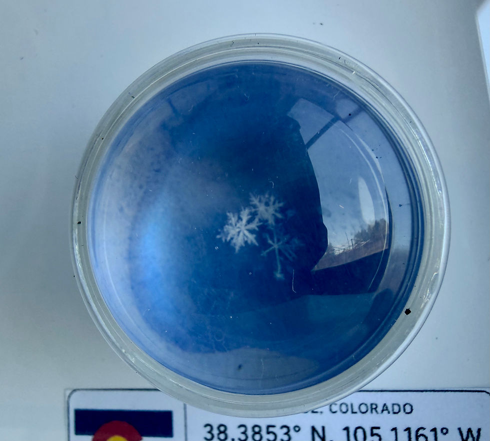 Thumbnail: Art Display/4x6-Real Snowflake Preserved Resin/Glass