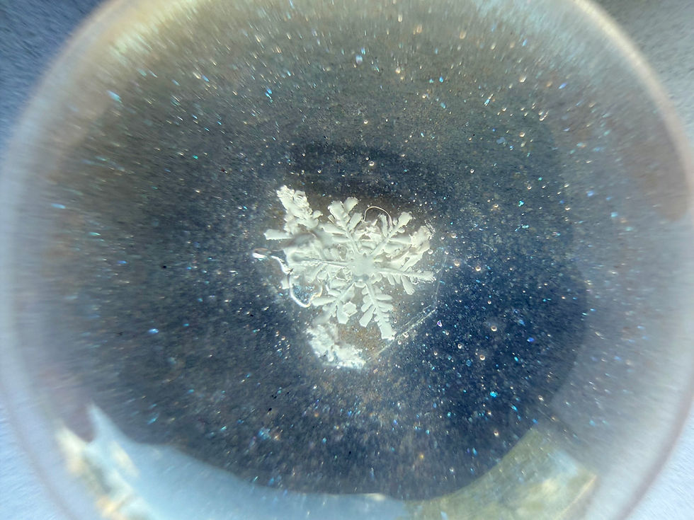 Thumbnail: Art Display/20mm-Real Snowflake Preserved Resin/Glass