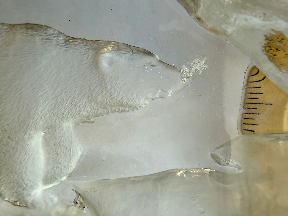 Thumbnail: Art Display/Real Snowflake Preserved Resin/Glass
