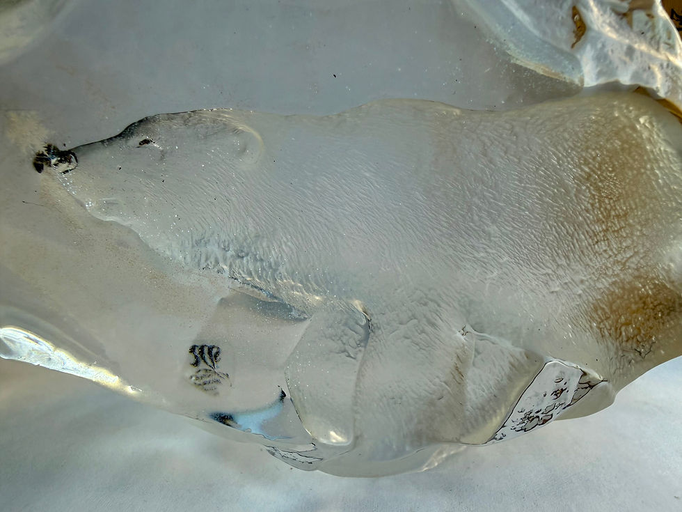 Thumbnail: Art Display/Real Snowflake Preserved Resin/Glass