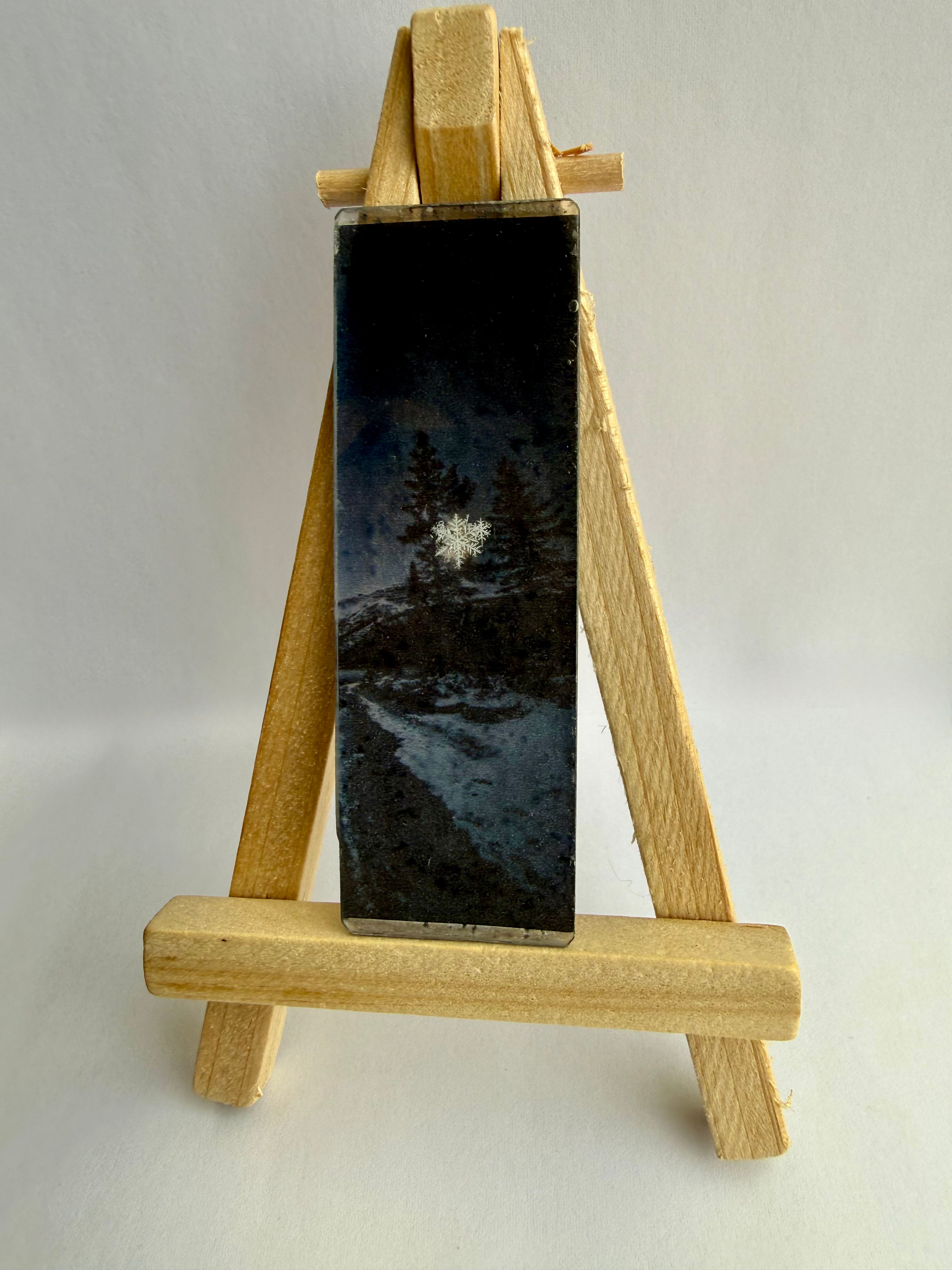 Art Display/Microscope Slide-Real Snowflake Preserved Resin/Glass