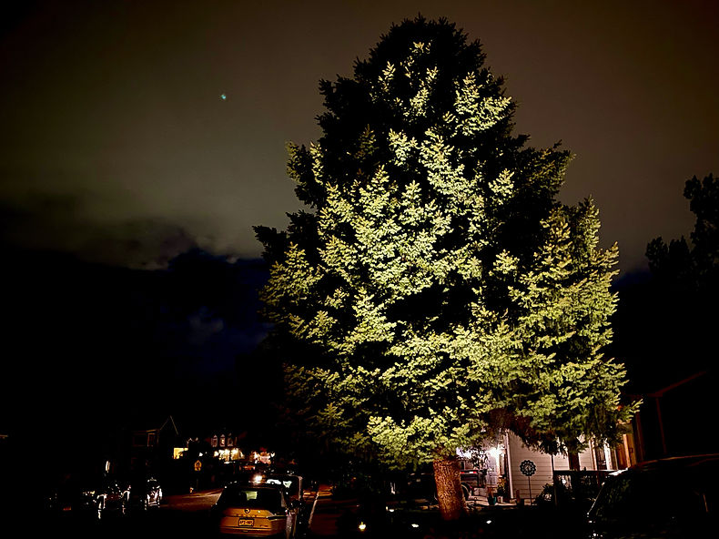 landscape lighting