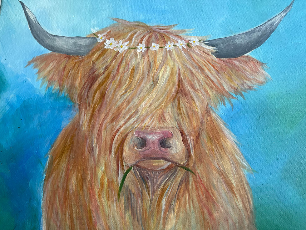 Highland Cow @19 Four teas Tearoom