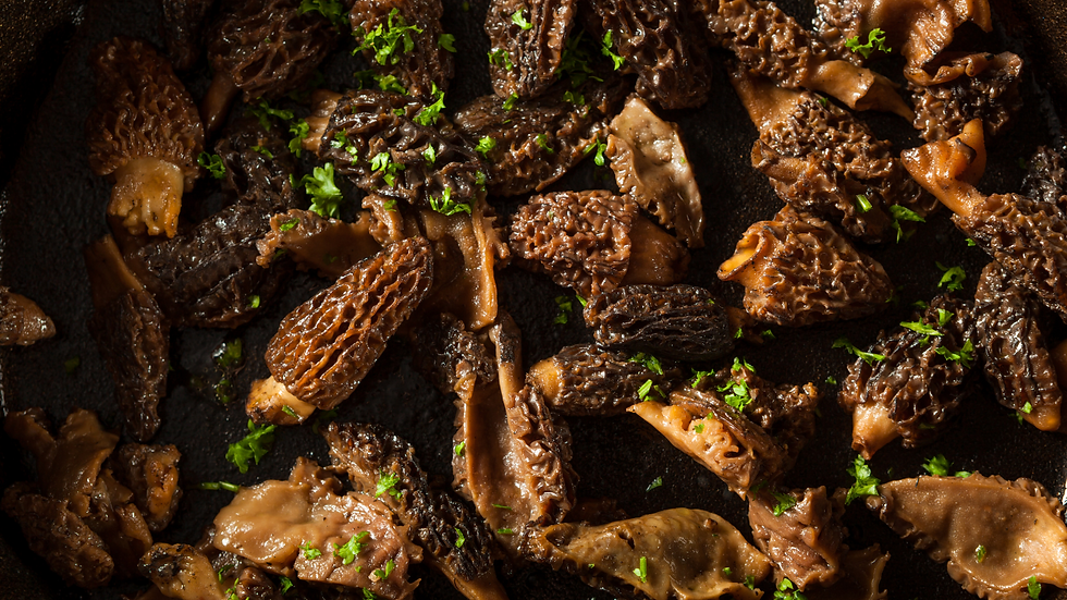 How to Sauté Morel Mushrooms Easy Method