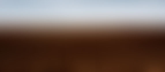 Frisch gepflügtes Ackerland unter bedecktem Himmel: Bild für die Vorleistung, deren Ertrag noch aussteht, und damit für das KI-Produktivitätsparadox, bei dem die Wirkung der Erwartung zeitversetzt nachläuft.