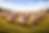 ChatGPT Image 2 Mar 2026 09_51_17.png
