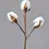 Miniatyrbild: Frozen Cotton Elegance
