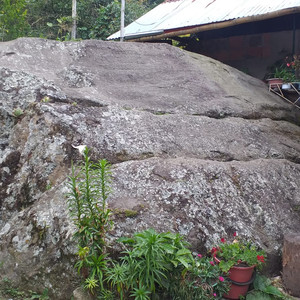 Inventario: Roca Jaguar