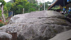 ROCA JAGUAR