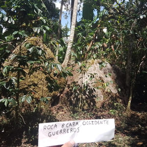 Inventario: Roca Guerreros