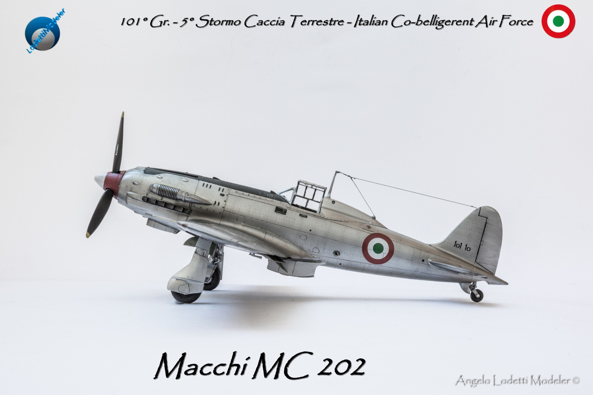 Macchi MC 202-Italian Co-belligerent Air | LodettiModeler
