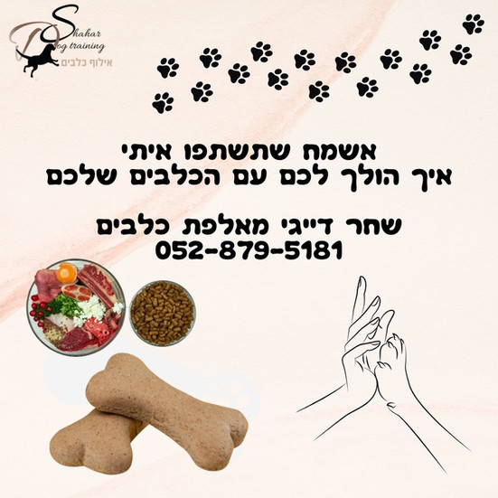 מה מותר ואסור לכלבים לאכול