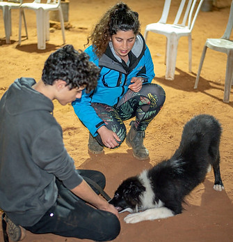 חינוך ואילוף גורים