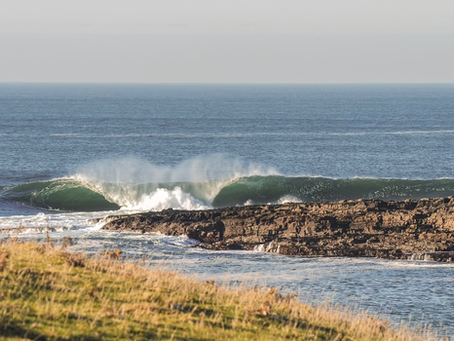 Earth Month at Citron: Ocean-Derived Rituals for Sleep, Hormonal Balance + Renewal