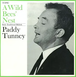 paddy-tunney-a-wild-bees-nest-cover-art.webp