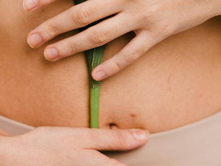 Digestive health at the Tortoise Clinic in Santa Rosa Beach, FL.