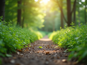 Whole Person Health Approach for Total Wellness: Holistic Health Strategies
