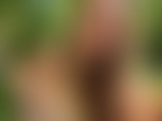 Starting Your Beekeeping Journey: What You Need to Know