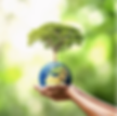planet earth_edited.png