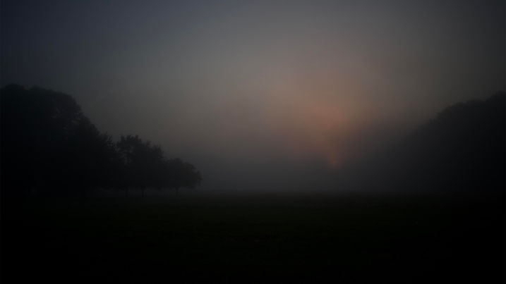 Nancy Montgomery Photography Foggy morning sunrise over the pasture