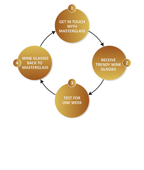 MasterGlass how it works
