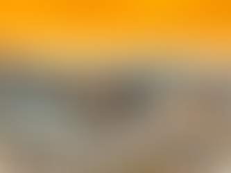 Phoenix skyline with deep orange sky