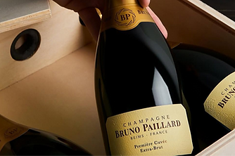 WhatsApp Image 2025-07-23 at 3.48_edited.png