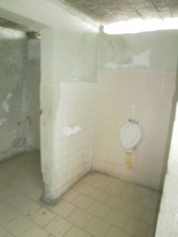 POLICARPA SALAVARRIETA (3).JPG