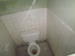 POLICARPA SALAVARRIETA (5).JPG