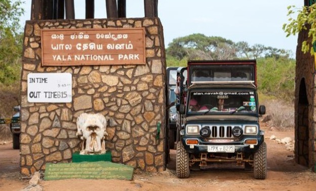 Yala national park animals tourism Sri Lanka All 