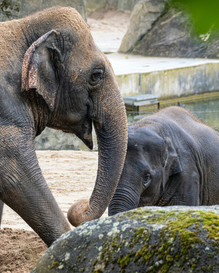 National Zoological Park Delhi