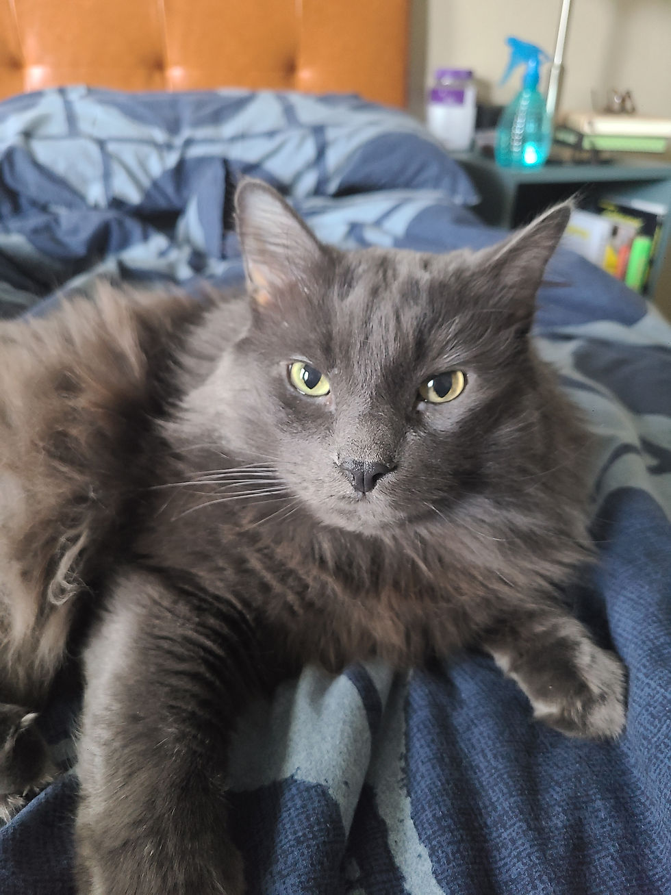 the rat bastard himself.