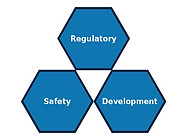 Kern_Hexagons_Labeled_WHITE copy.jpg