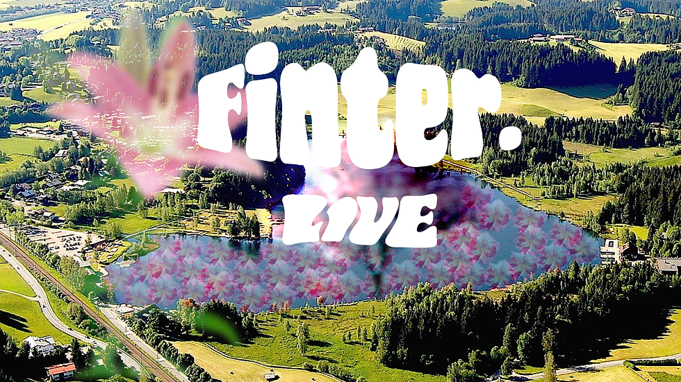 FINTER LIVE 