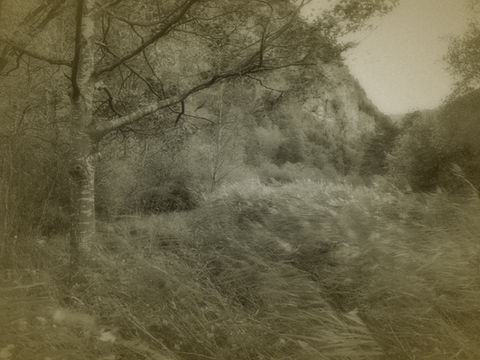 Wandel der Jahreszeiten