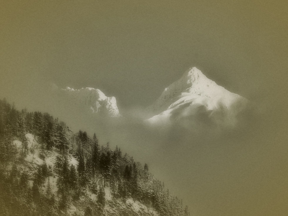 Fotografie eines dunklen, bewaldeten Hangs mit zwei schneebedeckten Gipfeln, die aus Nebel auftauchen und wie ein aus der Masse steigender Bergkörper wirken“