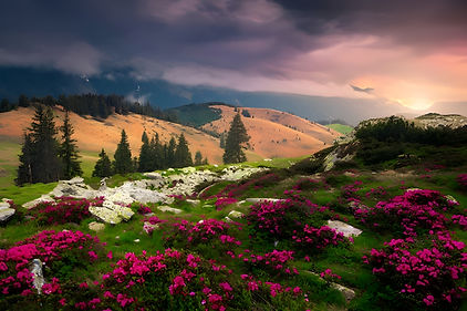 istockphoto-1247633680-612x612 (1) (1).jpg