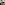 IMG_9873.jpeg