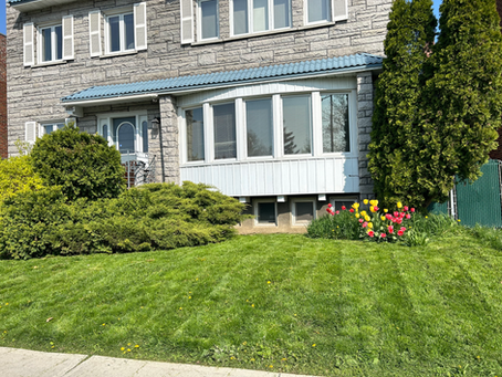 The Ultimate Guide to Taking Care of Your Lawn