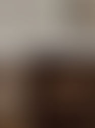 What’s Next in Kitchen Design: The 2026 Trend Forecast