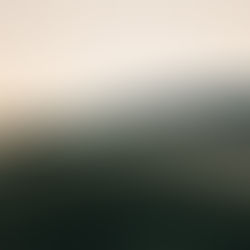 The Ultimate Guide to Moving to New Hampshire: What You Need to Know