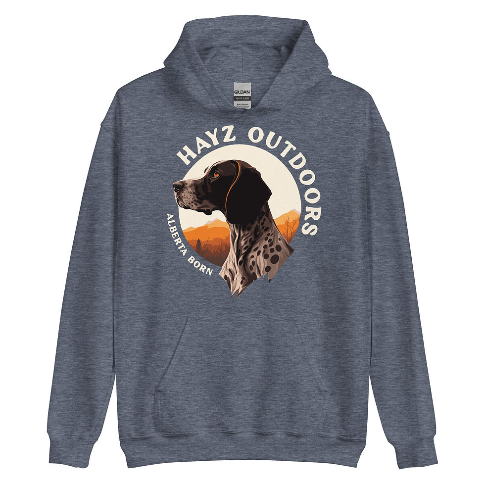 Thumbnail: Hayz “On Point” Unisex Hoodie
