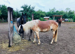 46b142cb-cb49-40bb-a187-2974f2d8123b